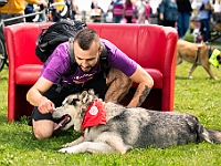 Warszawski Dzień Zwierząt 2019  Warszawa, 18 maja 2019 r. Multimedialny Park Fontann. Organizator - Schronisko dla Bezdomnych Zwierząt "Na Paluchu" : warszawski dzień zwierząt, park fontann, schronisko na paluchu