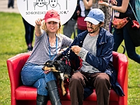Warszawski Dzień Zwierząt 2019  Warszawa, 18 maja 2019 r. Multimedialny Park Fontann. Organizator - Schronisko dla Bezdomnych Zwierząt "Na Paluchu" : warszawski dzień zwierząt, park fontann, schronisko na paluchu