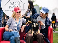 Warszawski Dzień Zwierząt 2019  Warszawa, 18 maja 2019 r. Multimedialny Park Fontann. Organizator - Schronisko dla Bezdomnych Zwierząt "Na Paluchu" : warszawski dzień zwierząt, park fontann, schronisko na paluchu