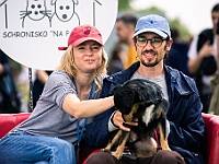 Warszawski Dzień Zwierząt 2019  Warszawa, 18 maja 2019 r. Multimedialny Park Fontann. Organizator - Schronisko dla Bezdomnych Zwierząt "Na Paluchu" : warszawski dzień zwierząt, park fontann, schronisko na paluchu