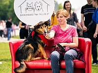 Warszawski Dzień Zwierząt 2019  Warszawa, 18 maja 2019 r. Multimedialny Park Fontann. Organizator - Schronisko dla Bezdomnych Zwierząt "Na Paluchu" : warszawski dzień zwierząt, park fontann, schronisko na paluchu