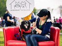 Warszawski Dzień Zwierząt 2019  Warszawa, 18 maja 2019 r. Multimedialny Park Fontann. Organizator - Schronisko dla Bezdomnych Zwierząt "Na Paluchu" : warszawski dzień zwierząt, park fontann, schronisko na paluchu