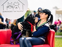 Warszawski Dzień Zwierząt 2019  Warszawa, 18 maja 2019 r. Multimedialny Park Fontann. Organizator - Schronisko dla Bezdomnych Zwierząt "Na Paluchu" : warszawski dzień zwierząt, park fontann, schronisko na paluchu