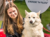 Warszawski Dzień Zwierząt 2019  Warszawa, 18 maja 2019 r. Multimedialny Park Fontann. Organizator - Schronisko dla Bezdomnych Zwierząt "Na Paluchu" : warszawski dzień zwierząt, park fontann, schronisko na paluchu