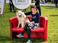 Warszawski Dzień Zwierząt 2019  Warszawa, 18 maja 2019 r. Multimedialny Park Fontann. Organizator - Schronisko dla Bezdomnych Zwierząt "Na Paluchu" : warszawski dzień zwierząt, park fontann, schronisko na paluchu