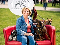 Warszawski Dzień Zwierząt 2019  Warszawa, 18 maja 2019 r. Multimedialny Park Fontann. Organizator - Schronisko dla Bezdomnych Zwierząt "Na Paluchu" : warszawski dzień zwierząt, park fontann, schronisko na paluchu