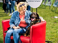 Warszawski Dzień Zwierząt 2019  Warszawa, 18 maja 2019 r. Multimedialny Park Fontann. Organizator - Schronisko dla Bezdomnych Zwierząt "Na Paluchu" : warszawski dzień zwierząt, park fontann, schronisko na paluchu