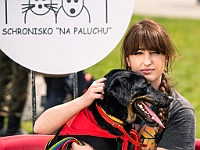 Warszawski Dzień Zwierząt 2019  Warszawa, 18 maja 2019 r. Multimedialny Park Fontann. Organizator - Schronisko dla Bezdomnych Zwierząt "Na Paluchu" : warszawski dzień zwierząt, park fontann, schronisko na paluchu
