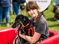 Warszawski Dzień Zwierząt 2019  Warszawa, 18 maja 2019 r. Multimedialny Park Fontann. Organizator - Schronisko dla Bezdomnych Zwierząt "Na Paluchu" : warszawski dzień zwierząt, park fontann, schronisko na paluchu