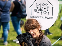 Warszawski Dzień Zwierząt 2019  Warszawa, 18 maja 2019 r. Multimedialny Park Fontann. Organizator - Schronisko dla Bezdomnych Zwierząt "Na Paluchu" : warszawski dzień zwierząt, park fontann, schronisko na paluchu
