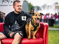 Warszawski Dzień Zwierząt 2019  Warszawa, 18 maja 2019 r. Multimedialny Park Fontann. Organizator - Schronisko dla Bezdomnych Zwierząt "Na Paluchu" : warszawski dzień zwierząt, park fontann, schronisko na paluchu