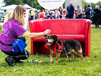 Warszawski Dzień Zwierząt 2019  Warszawa, 18 maja 2019 r. Multimedialny Park Fontann. Organizator - Schronisko dla Bezdomnych Zwierząt "Na Paluchu" : warszawski dzień zwierząt, park fontann, schronisko na paluchu