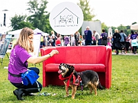 Warszawski Dzień Zwierząt 2019  Warszawa, 18 maja 2019 r. Multimedialny Park Fontann. Organizator - Schronisko dla Bezdomnych Zwierząt "Na Paluchu" : warszawski dzień zwierząt, park fontann, schronisko na paluchu