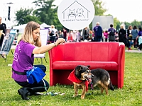Warszawski Dzień Zwierząt 2019  Warszawa, 18 maja 2019 r. Multimedialny Park Fontann. Organizator - Schronisko dla Bezdomnych Zwierząt "Na Paluchu" : warszawski dzień zwierząt, park fontann, schronisko na paluchu