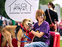 Warszawski Dzień Zwierząt 2019  Warszawa, 18 maja 2019 r. Multimedialny Park Fontann. Organizator - Schronisko dla Bezdomnych Zwierząt "Na Paluchu" : warszawski dzień zwierząt, park fontann, schronisko na paluchu