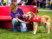 Warszawski Dzień Zwierząt 2019  Warszawa, 18 maja 2019 r. Multimedialny Park Fontann. Organizator - Schronisko dla Bezdomnych Zwierząt "Na Paluchu" : warszawski dzień zwierząt, park fontann, schronisko na paluchu