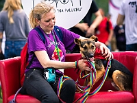 Warszawski Dzień Zwierząt 2019  Warszawa, 18 maja 2019 r. Multimedialny Park Fontann. Organizator - Schronisko dla Bezdomnych Zwierząt "Na Paluchu" : warszawski dzień zwierząt, park fontann, schronisko na paluchu