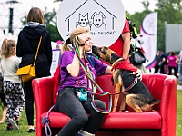 Warszawski Dzień Zwierząt 2019  Warszawa, 18 maja 2019 r. Multimedialny Park Fontann. Organizator - Schronisko dla Bezdomnych Zwierząt "Na Paluchu" : warszawski dzień zwierząt, park fontann, schronisko na paluchu