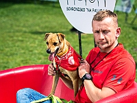 Warszawski Dzień Zwierząt 2019  Warszawa, 18 maja 2019 r. Multimedialny Park Fontann. Organizator - Schronisko dla Bezdomnych Zwierząt "Na Paluchu" : warszawski dzień zwierząt, park fontann, schronisko na paluchu
