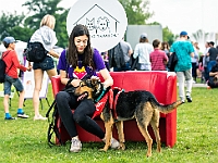 Warszawski Dzień Zwierząt 2019  Warszawa, 18 maja 2019 r. Multimedialny Park Fontann. Organizator - Schronisko dla Bezdomnych Zwierząt "Na Paluchu" : warszawski dzień zwierząt, park fontann, schronisko na paluchu