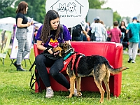 Warszawski Dzień Zwierząt 2019  Warszawa, 18 maja 2019 r. Multimedialny Park Fontann. Organizator - Schronisko dla Bezdomnych Zwierząt "Na Paluchu" : warszawski dzień zwierząt, park fontann, schronisko na paluchu