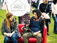 Warszawski Dzień Zwierząt 2019  Warszawa, 18 maja 2019 r. Multimedialny Park Fontann. Organizator - Schronisko dla Bezdomnych Zwierząt "Na Paluchu" : warszawski dzień zwierząt, park fontann, schronisko na paluchu