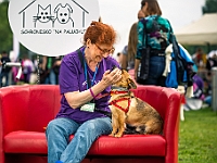Warszawski Dzień Zwierząt 2019  Warszawa, 18 maja 2019 r. Multimedialny Park Fontann. Organizator - Schronisko dla Bezdomnych Zwierząt "Na Paluchu" : warszawski dzień zwierząt, park fontann, schronisko na paluchu