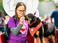Warszawski Dzień Zwierząt 2019  Warszawa, 18 maja 2019 r. Multimedialny Park Fontann. Organizator - Schronisko dla Bezdomnych Zwierząt "Na Paluchu" : warszawski dzień zwierząt, park fontann, schronisko na paluchu