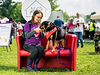 Warszawski Dzień Zwierząt 2019  Warszawa, 18 maja 2019 r. Multimedialny Park Fontann. Organizator - Schronisko dla Bezdomnych Zwierząt "Na Paluchu" : warszawski dzień zwierząt, park fontann, schronisko na paluchu