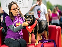 Warszawski Dzień Zwierząt 2019  Warszawa, 18 maja 2019 r. Multimedialny Park Fontann. Organizator - Schronisko dla Bezdomnych Zwierząt "Na Paluchu" : warszawski dzień zwierząt, park fontann, schronisko na paluchu