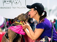 Warszawski Dzień Zwierząt 2019  Warszawa, 18 maja 2019 r. Multimedialny Park Fontann. Organizator - Schronisko dla Bezdomnych Zwierząt "Na Paluchu" : warszawski dzień zwierząt, park fontann, schronisko na paluchu