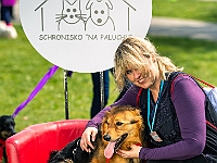 Warszawski Dzień Zwierząt 2019  Warszawa, 18 maja 2019 r. Multimedialny Park Fontann. Organizator - Schronisko dla Bezdomnych Zwierząt "Na Paluchu" : warszawski dzień zwierząt, park fontann, schronisko na paluchu