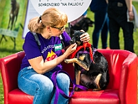 Warszawski Dzień Zwierząt 2019  Warszawa, 18 maja 2019 r. Multimedialny Park Fontann. Organizator - Schronisko dla Bezdomnych Zwierząt "Na Paluchu" : warszawski dzień zwierząt, park fontann, schronisko na paluchu