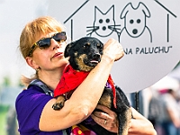 Warszawski Dzień Zwierząt 2019  Warszawa, 18 maja 2019 r. Multimedialny Park Fontann. Organizator - Schronisko dla Bezdomnych Zwierząt "Na Paluchu" : warszawski dzień zwierząt, park fontann, schronisko na paluchu