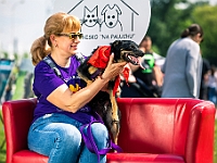 Warszawski Dzień Zwierząt 2019  Warszawa, 18 maja 2019 r. Multimedialny Park Fontann. Organizator - Schronisko dla Bezdomnych Zwierząt "Na Paluchu" : warszawski dzień zwierząt, park fontann, schronisko na paluchu