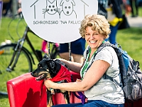 Warszawski Dzień Zwierząt 2019  Warszawa, 18 maja 2019 r. Multimedialny Park Fontann. Organizator - Schronisko dla Bezdomnych Zwierząt "Na Paluchu" : warszawski dzień zwierząt, park fontann, schronisko na paluchu