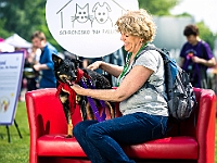 Warszawski Dzień Zwierząt 2019  Warszawa, 18 maja 2019 r. Multimedialny Park Fontann. Organizator - Schronisko dla Bezdomnych Zwierząt "Na Paluchu" : warszawski dzień zwierząt, park fontann, schronisko na paluchu