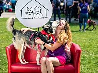 Warszawski Dzień Zwierząt 2019  Warszawa, 18 maja 2019 r. Multimedialny Park Fontann. Organizator - Schronisko dla Bezdomnych Zwierząt "Na Paluchu" : warszawski dzień zwierząt, park fontann, schronisko na paluchu