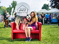 Warszawski Dzień Zwierząt 2019  Warszawa, 18 maja 2019 r. Multimedialny Park Fontann. Organizator - Schronisko dla Bezdomnych Zwierząt "Na Paluchu" : warszawski dzień zwierząt, park fontann, schronisko na paluchu