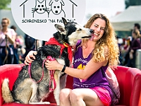 Warszawski Dzień Zwierząt 2019  Warszawa, 18 maja 2019 r. Multimedialny Park Fontann. Organizator - Schronisko dla Bezdomnych Zwierząt "Na Paluchu" : warszawski dzień zwierząt, park fontann, schronisko na paluchu