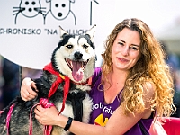 Warszawski Dzień Zwierząt 2019  Warszawa, 18 maja 2019 r. Multimedialny Park Fontann. Organizator - Schronisko dla Bezdomnych Zwierząt "Na Paluchu" : warszawski dzień zwierząt, park fontann, schronisko na paluchu