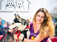 Warszawski Dzień Zwierząt 2019  Warszawa, 18 maja 2019 r. Multimedialny Park Fontann. Organizator - Schronisko dla Bezdomnych Zwierząt "Na Paluchu" : warszawski dzień zwierząt, park fontann, schronisko na paluchu