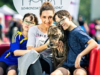 Warszawski Dzień Zwierząt 2019  Warszawa, 18 maja 2019 r. Multimedialny Park Fontann. Organizator - Schronisko dla Bezdomnych Zwierząt "Na Paluchu" : warszawski dzień zwierząt, park fontann, schronisko na paluchu