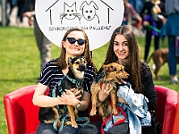 Warszawski Dzień Zwierząt 2019  Warszawa, 18 maja 2019 r. Multimedialny Park Fontann. Organizator - Schronisko dla Bezdomnych Zwierząt "Na Paluchu" : warszawski dzień zwierząt, park fontann, schronisko na paluchu