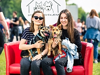Warszawski Dzień Zwierząt 2019  Warszawa, 18 maja 2019 r. Multimedialny Park Fontann. Organizator - Schronisko dla Bezdomnych Zwierząt "Na Paluchu" : warszawski dzień zwierząt, park fontann, schronisko na paluchu