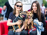 Warszawski Dzień Zwierząt 2019  Warszawa, 18 maja 2019 r. Multimedialny Park Fontann. Organizator - Schronisko dla Bezdomnych Zwierząt "Na Paluchu" : warszawski dzień zwierząt, park fontann, schronisko na paluchu