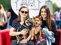 Warszawski Dzień Zwierząt 2019  Warszawa, 18 maja 2019 r. Multimedialny Park Fontann. Organizator - Schronisko dla Bezdomnych Zwierząt "Na Paluchu" : warszawski dzień zwierząt, park fontann, schronisko na paluchu