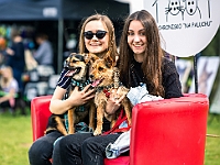 Warszawski Dzień Zwierząt 2019  Warszawa, 18 maja 2019 r. Multimedialny Park Fontann. Organizator - Schronisko dla Bezdomnych Zwierząt "Na Paluchu" : warszawski dzień zwierząt, park fontann, schronisko na paluchu