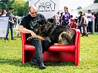 Warszawski Dzień Zwierząt 2019  Warszawa, 18 maja 2019 r. Multimedialny Park Fontann. Organizator - Schronisko dla Bezdomnych Zwierząt "Na Paluchu" : warszawski dzień zwierząt, park fontann, schronisko na paluchu