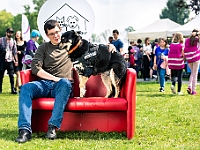 Warszawski Dzień Zwierząt 2019  Warszawa, 18 maja 2019 r. Multimedialny Park Fontann. Organizator - Schronisko dla Bezdomnych Zwierząt "Na Paluchu" : warszawski dzień zwierząt, park fontann, schronisko na paluchu